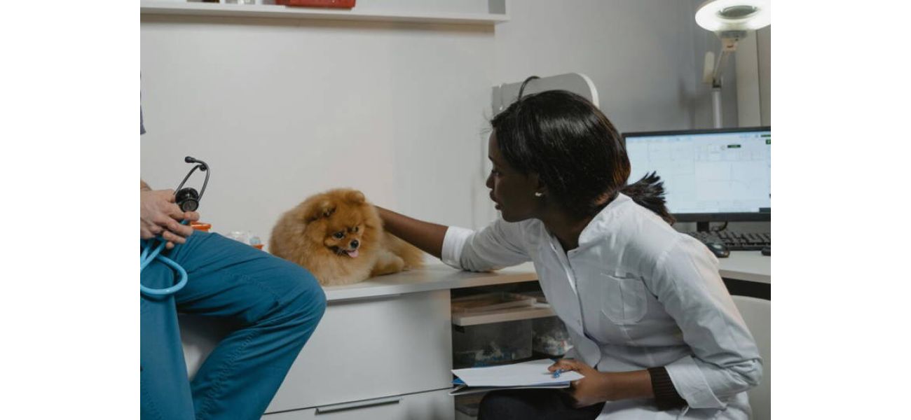 New York now officially considers pet dogs as part of the family.
