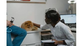 New York now officially considers pet dogs as part of the family.