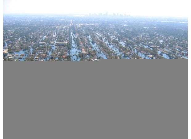 New Orleans residents share their experiences and challenges 20 years after Hurricane Katrina, emphasizing their strength and determination.