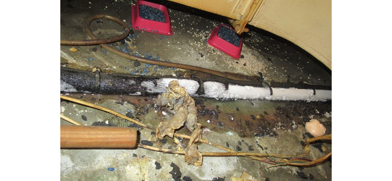 Pizza Hut owner fined £39,000 for rat infestation in branch.