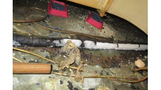 Pizza Hut owner fined £39,000 for rat infestation in branch.