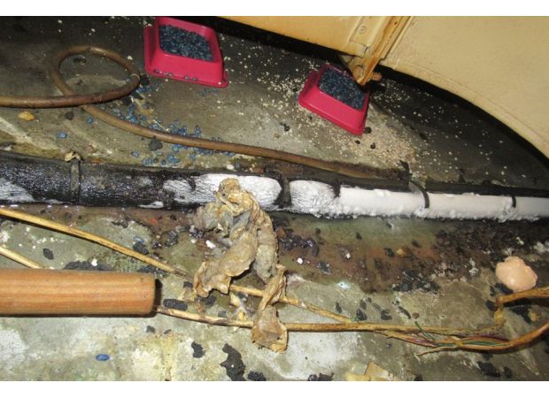 Pizza Hut owner fined £39,000 for rat infestation in branch.