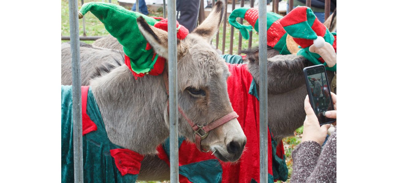After receiving criticism for using donkeys in their nativity parade, the town has decided to change their plans.
