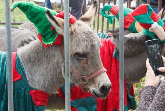 After receiving criticism for using donkeys in their nativity parade, the town has decided to change their plans.