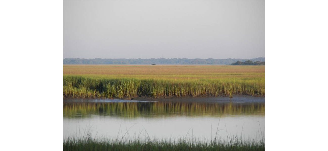 Celebrating 160 years of preserving Black history in the Lowcountry of South Carolina, the Avery Research Center has played a crucial role in preserving and promoting the rich heritage of the region.