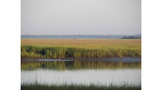 Celebrating 160 years of preserving Black history in the Lowcountry of South Carolina, the Avery Research Center has played a crucial role in preserving and promoting the rich heritage of the region.