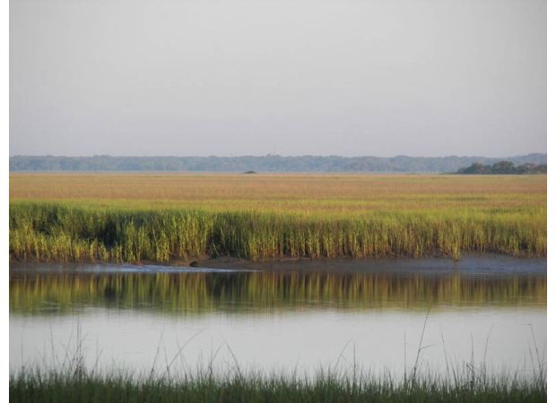 Celebrating 160 years of preserving Black history in the Lowcountry of South Carolina, the Avery Research Center has played a crucial role in preserving and promoting the rich heritage of the region.