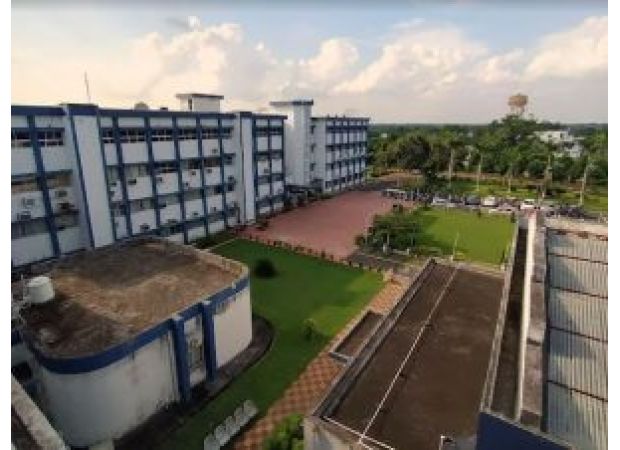 Odisha makes deal with CIFA to protect Mahanadi Mahaseer fish.