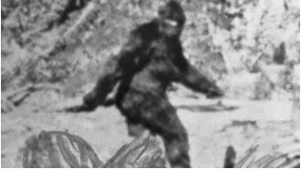 FBI investigates Bigfoot, conducts hair tests, and reveals findings.