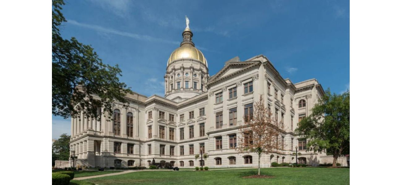 A young black conservative has unexpectedly stepped down from the Georgia Republican Party.