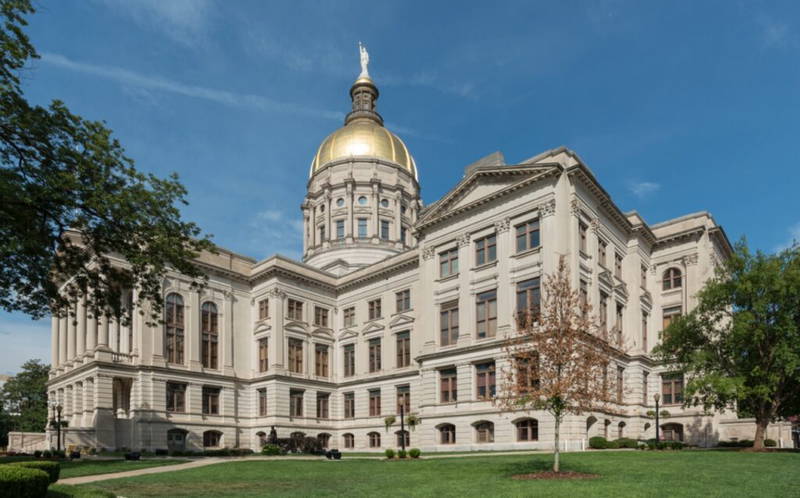 A young black conservative has unexpectedly stepped down from the Georgia Republican Party.