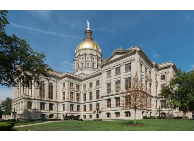 A young black conservative has unexpectedly stepped down from the Georgia Republican Party.