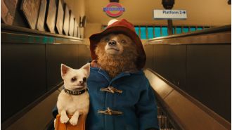 Hurry up and watch Paddington on Netflix before it's gone in a few days.