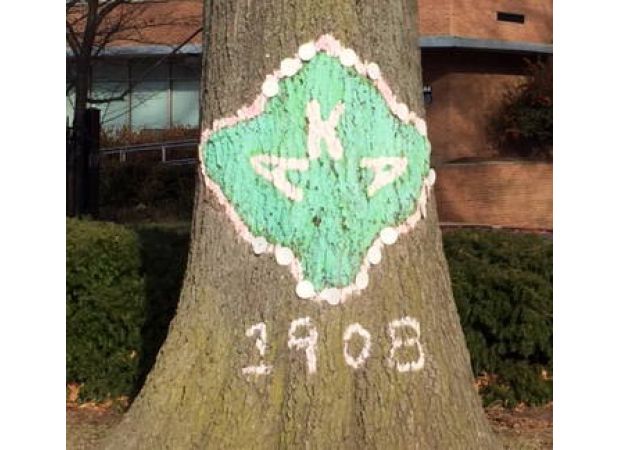 Sorority sisters celebrate 118th anniversary in Ghana.