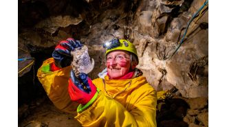 Wolverines were found in Yorkshire Dales after being discovered by a potholer during the Ice Age.