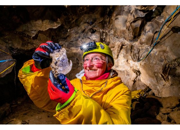Wolverines were found in Yorkshire Dales after being discovered by a potholer during the Ice Age.