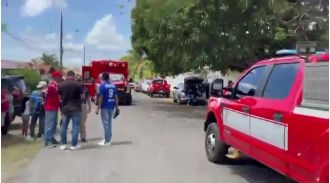 A swarm of 'killer bees' caused injuries to 150 people, with 50 needing hospital treatment.