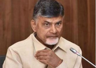 The Chief Minister of Andhra Pradesh expresses gratitude to the President for approving the Bill that designates Amaravati as the state's capital.