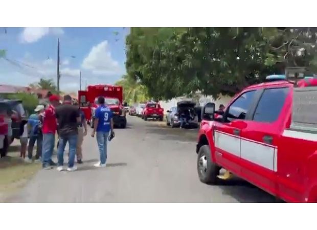 A swarm of 'killer bees' caused injuries to 150 people, with 50 needing hospital treatment.