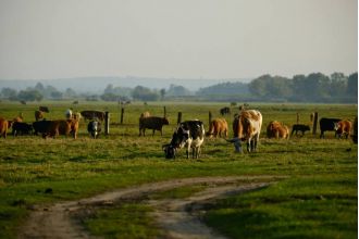 Colorado ranch owners are concerned about a recent shooting during Easter, which they see as a worrying increase in a long-running feud.