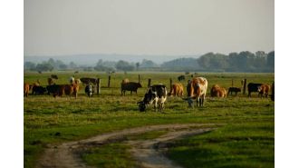 Colorado ranch owners are concerned about a recent shooting during Easter, which they see as a worrying increase in a long-running feud.