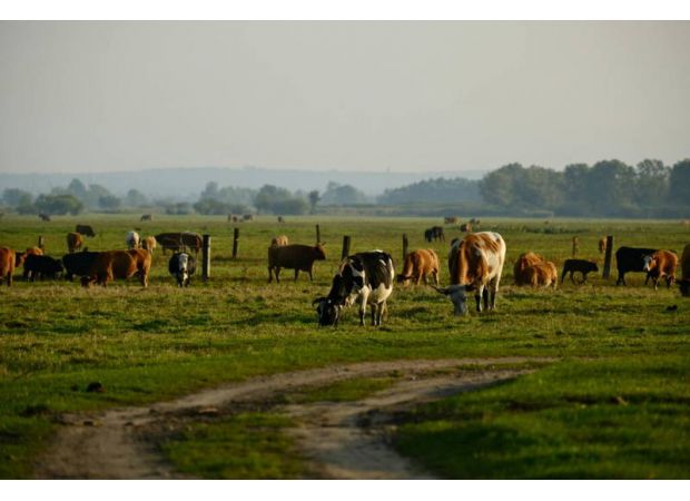 Colorado ranch owners are concerned about a recent shooting during Easter, which they see as a worrying increase in a long-running feud.