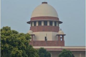 Court dismisses requests to change orders regarding moving and sterilizing stray dogs.