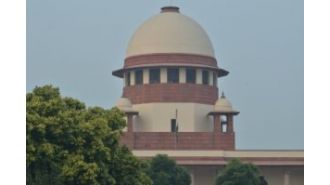 Court dismisses requests to change orders regarding moving and sterilizing stray dogs.