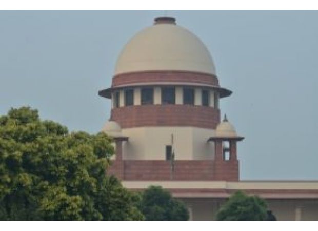 Court dismisses requests to change orders regarding moving and sterilizing stray dogs.