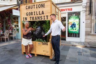 A Yorkshire woman's gorilla statue, once evicted from her home, now resides in Mayfair.