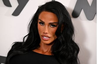 Critics slam Katie Price's decision to purchase expensive dog while her cat is still missing, calling it irresponsible.