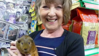 Police are looking into the death of a pet store owner in her 70s, who was killed in a head-on collision.