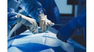 Surgeon loses license due to malpractice probe.