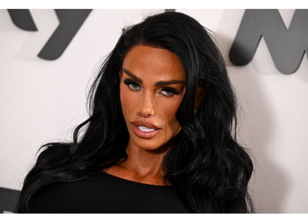 Critics slam Katie Price's decision to purchase expensive dog while her cat is still missing, calling it irresponsible.