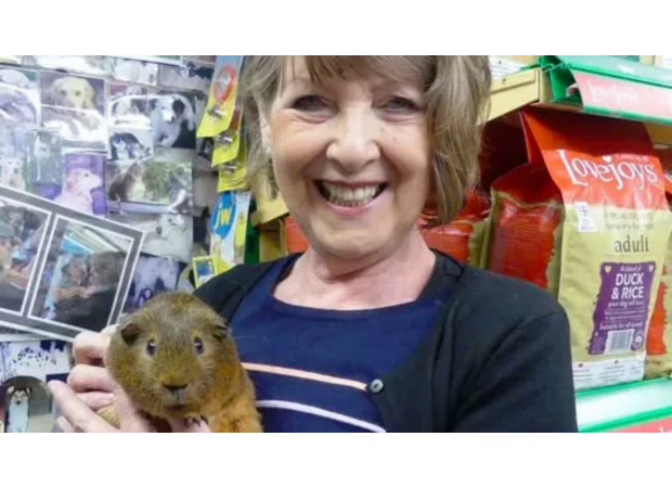 Police are looking into the death of a pet store owner in her 70s, who was killed in a head-on collision.