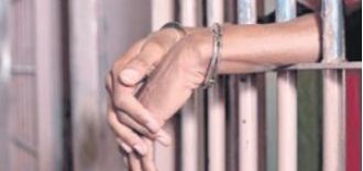 Two individuals were arrested for murdering a leopard in Ganjam.