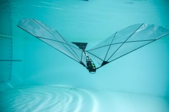 A new robot can swim underwater and fly like a bird.