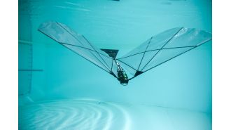A new robot can swim underwater and fly like a bird.