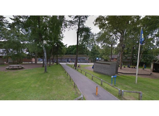 18 injured, including children, when tree falls on outdoor activity center.