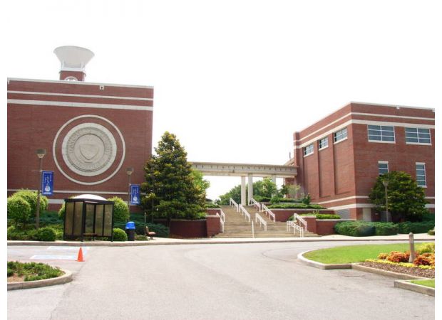 Jennifer Bell has been appointed interim athletic director at Tennessee State University as the school conducts an investigation.