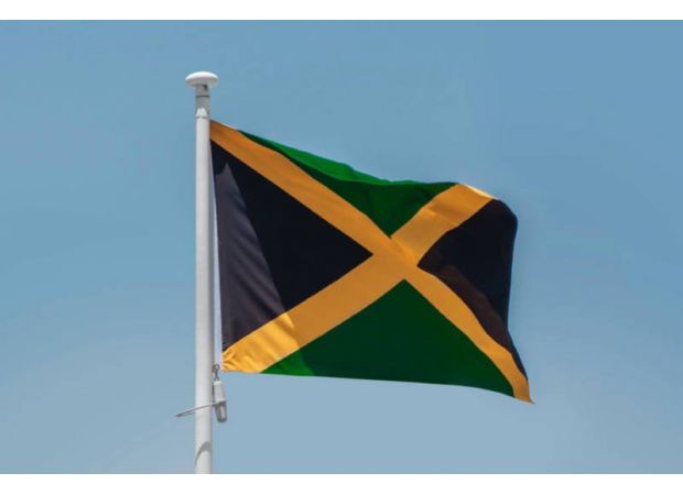 First-ever Jamaican parade in NYC to take place in Brooklyn.