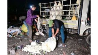 Pics from the state of Odisha, captured on the present day.