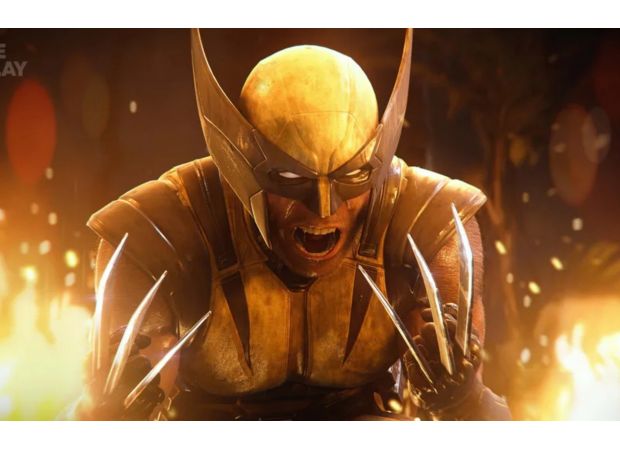 Are internet gamers too critical?
