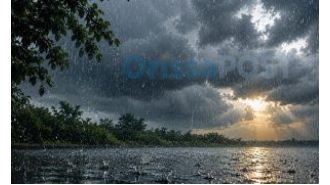 Odisha puts all districts on high alert as low pressure may strengthen into a cyclone