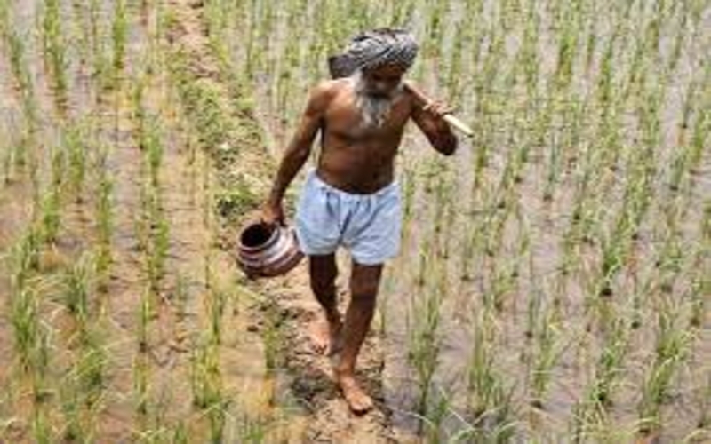 Compensation sought from farmers