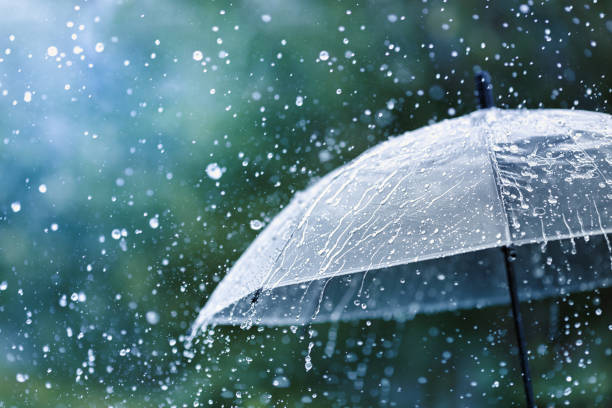 Average rainfall in the district is 108 inches