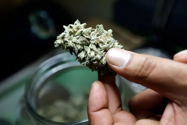 Five arrested for consuming cannabis