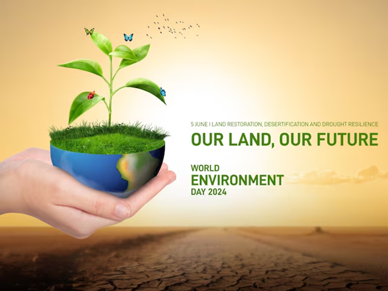 Senior Chamber's Environment Day