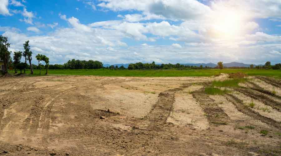 Total 5006 applications for government land lease