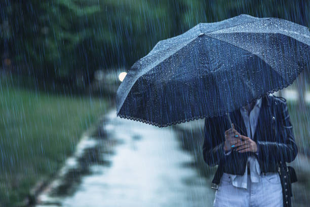 Madikeri taluk receives average rainfall of over 100 inches
